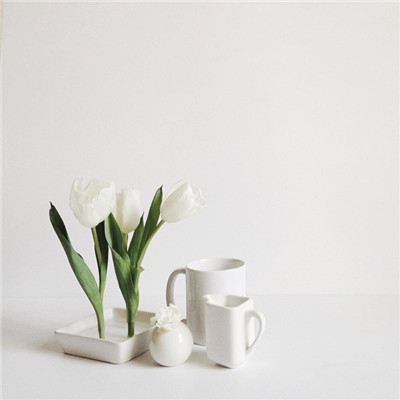 Constance如一的個(gè)人主頁（背景預(yù)覽） - 主頁背景設(shè)置 - 站酷設(shè)計(jì)師Constance如一原創(chuàng)素材 - 站酷ZCOOL