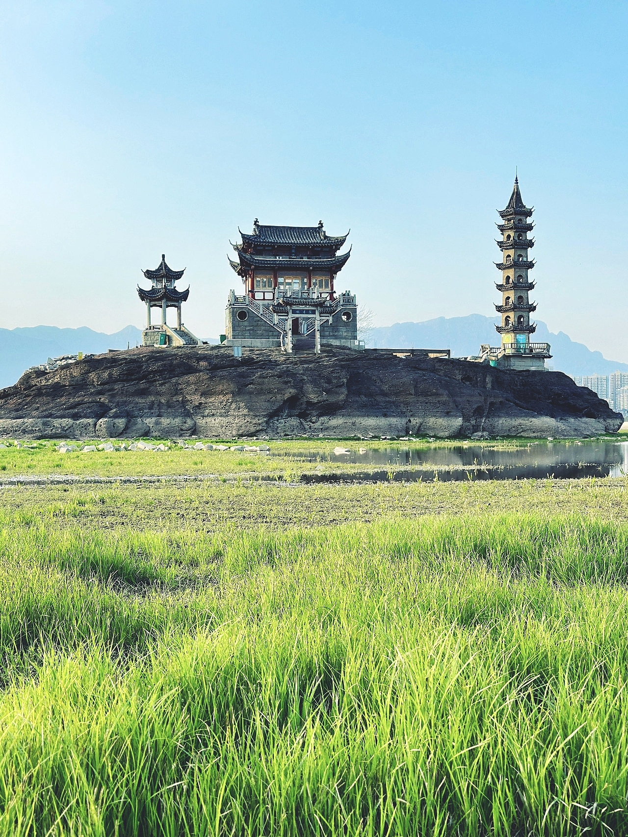 王爷庙鄱阳湖大草原,自然画卷中的诗意之地!