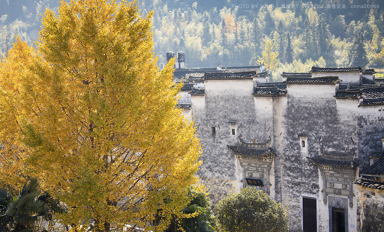 宏村秋色（图ZMjM3NTkxNDA4） - 风光摄影 - 站酷设计师茸城老T原创素材 - 站酷ZCOOL