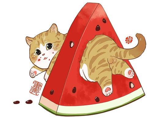 画猫的一千零六十八天