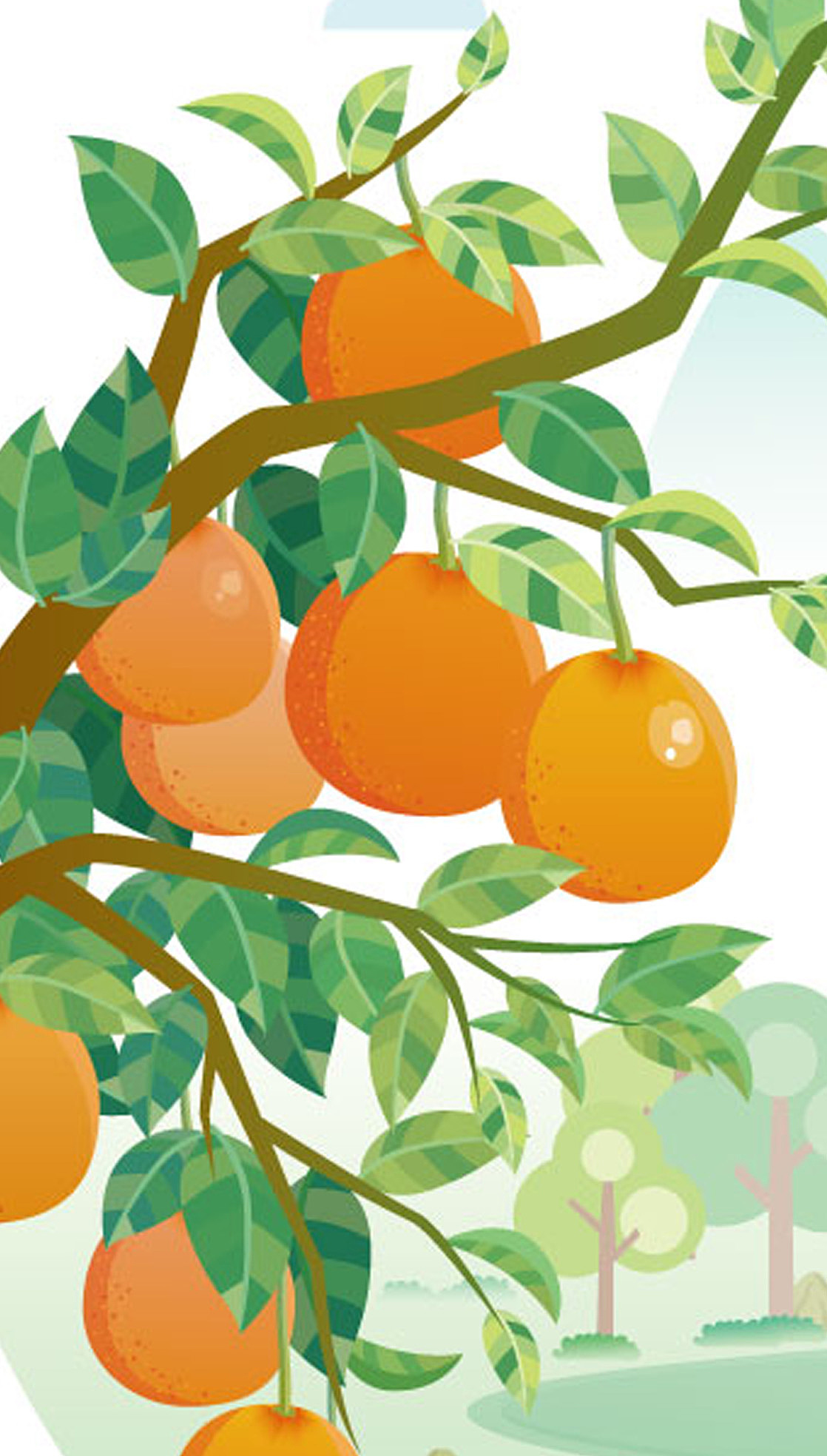 城市农产品|插画|商业插画|s三点水 - 原创作品 - 站酷 (zcool)