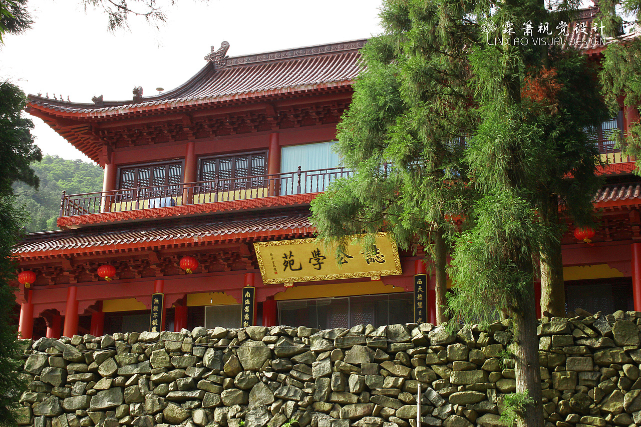 杭州之行的山林景色片子