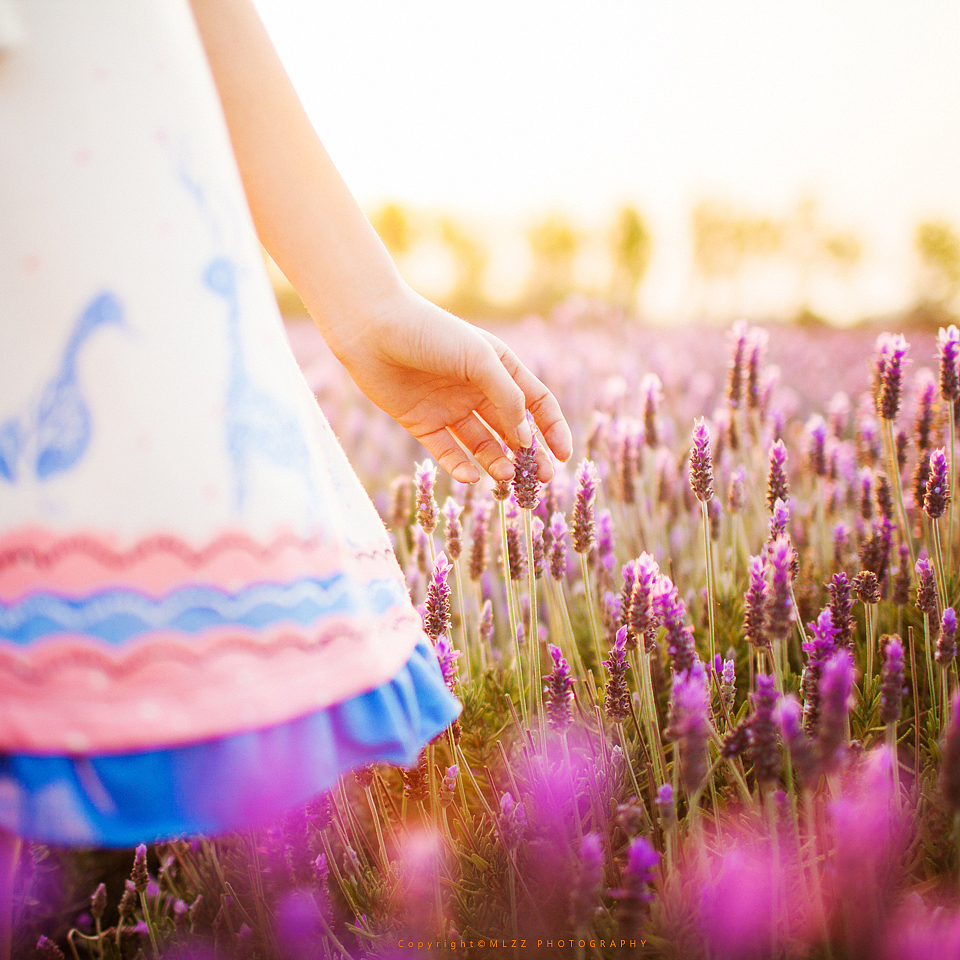 静等花开,知花语