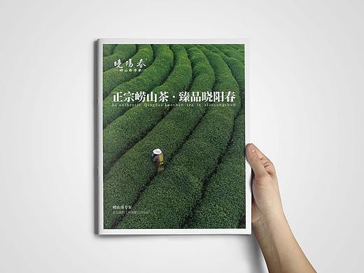 茶画册