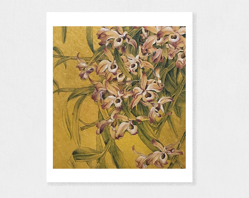 花花草草绘画（图ZMTE5NzU3NjMy） - 艺术插画 - 站酷设计师xiepeifen原创素材 - 站酷ZCOOL