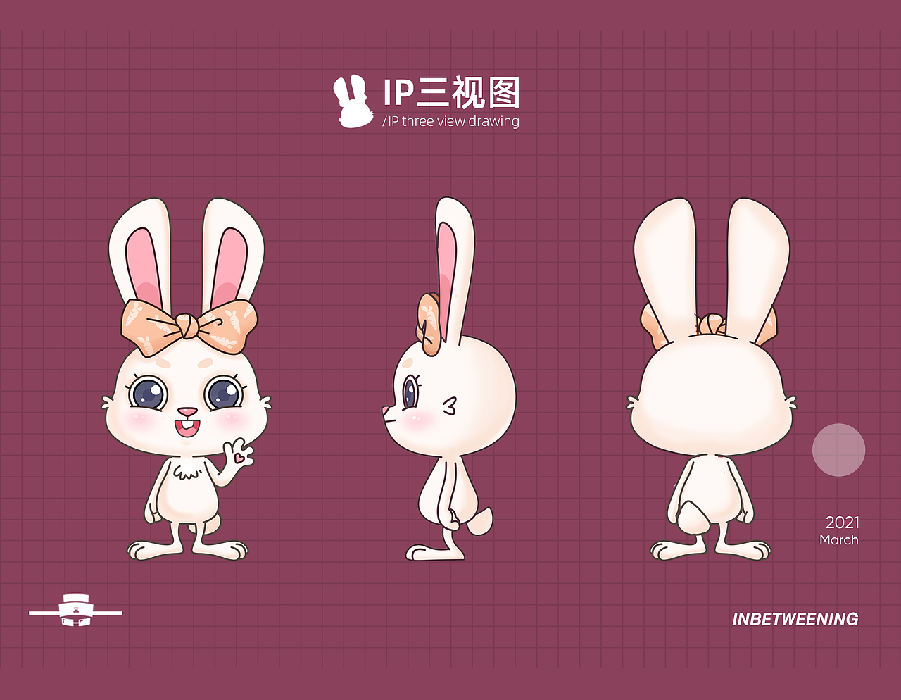 棉柔巾/洗脸巾/卷巾包装设计