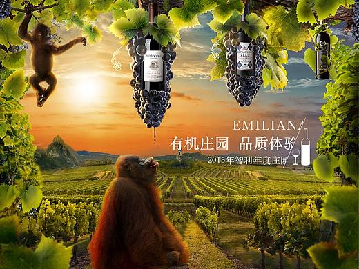 佳沃葡萄酒（个人主页-ZMzc2MTQ2NDg=） - 其他平面 - 站酷设计师空呀空个婆原创素材 - 站酷ZCOOL