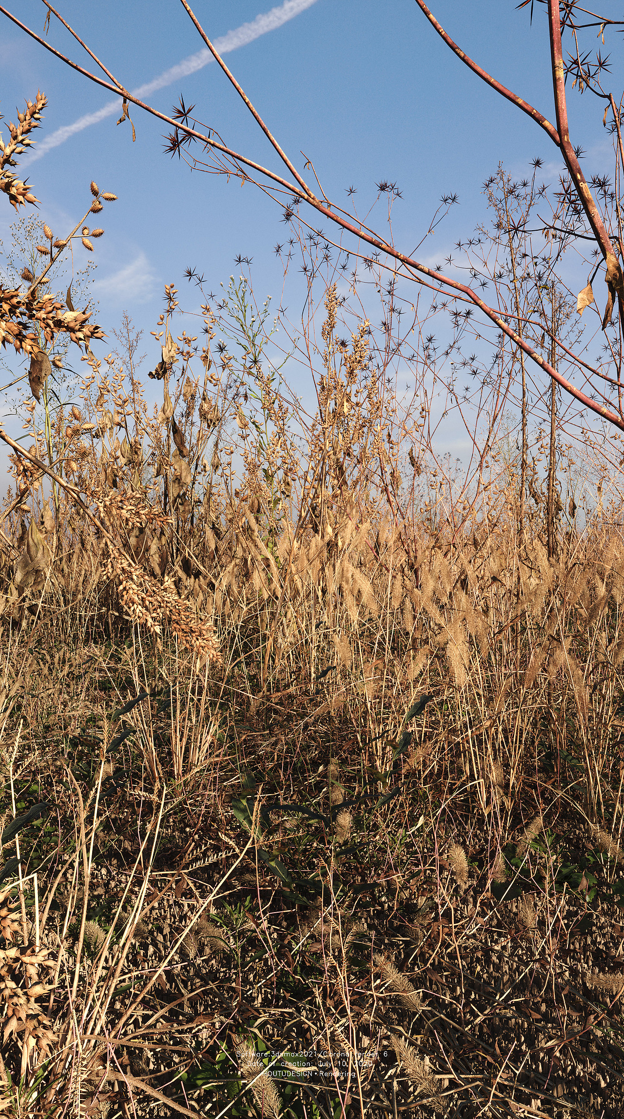 凋敝（图ZMjE3NTMwNTQ4） - 景观设计 - 站酷设计师厚土设计原创素材 - 站酷ZCOOL