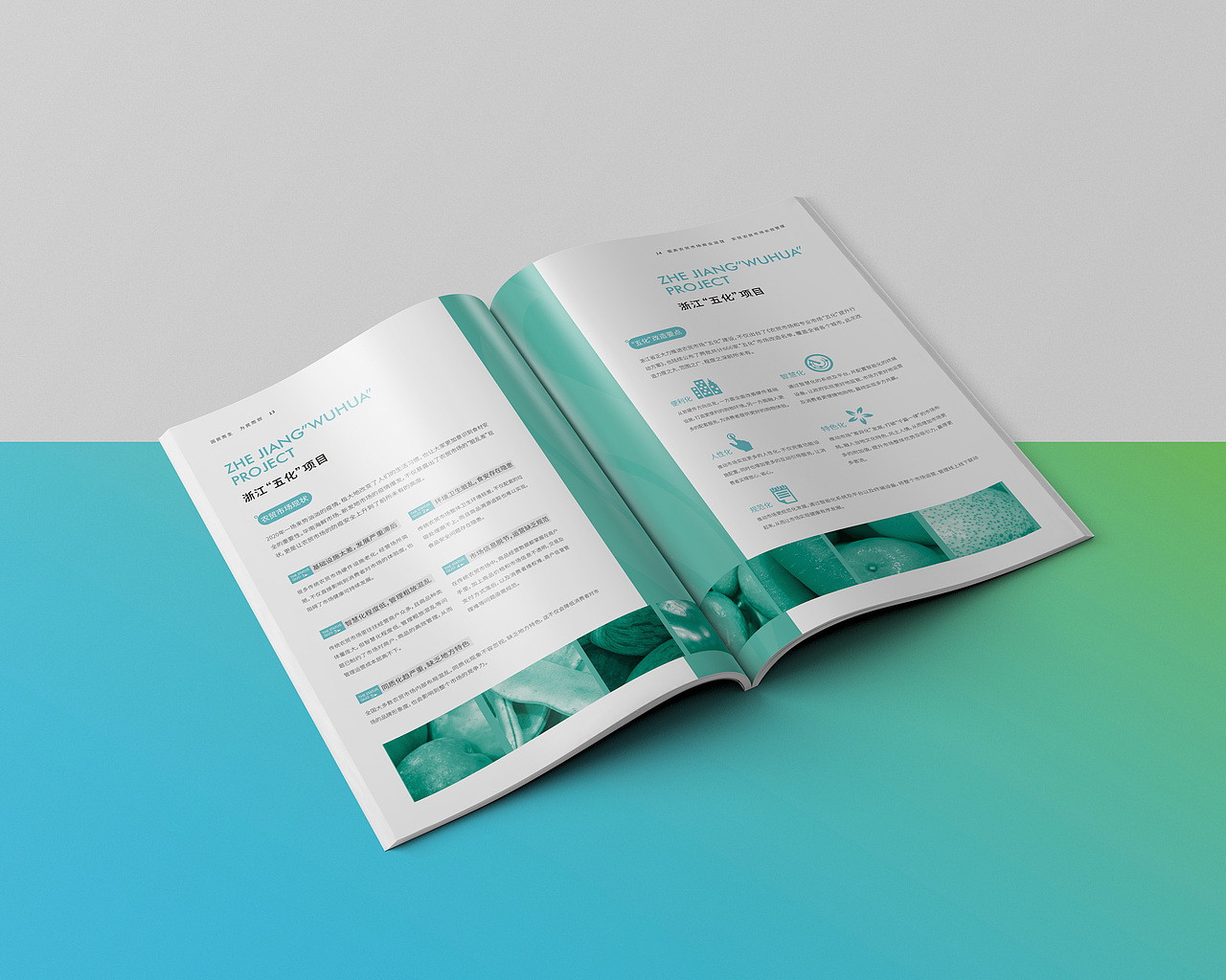 浙江农贸市场五化解决方案（图ZMjQ2MTQ3Nzk2） - 书籍/画册 - 站酷设计师九合龙大原创素材 - 站酷ZCOOL