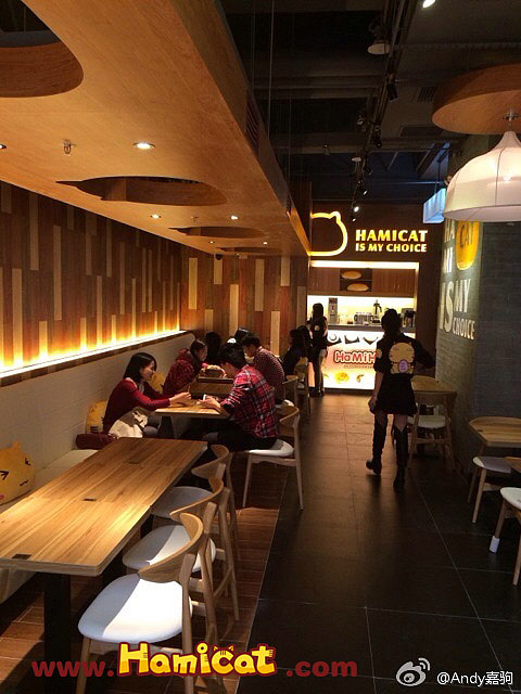 第2间哈米堂～哈咪猫主题简餐&甜品店（图ZMTQ5NTg5MDA=） - 其他 - 站酷设计师碳碳原创素材 - 站酷ZCOOL