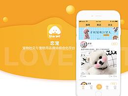 宠物UI参考