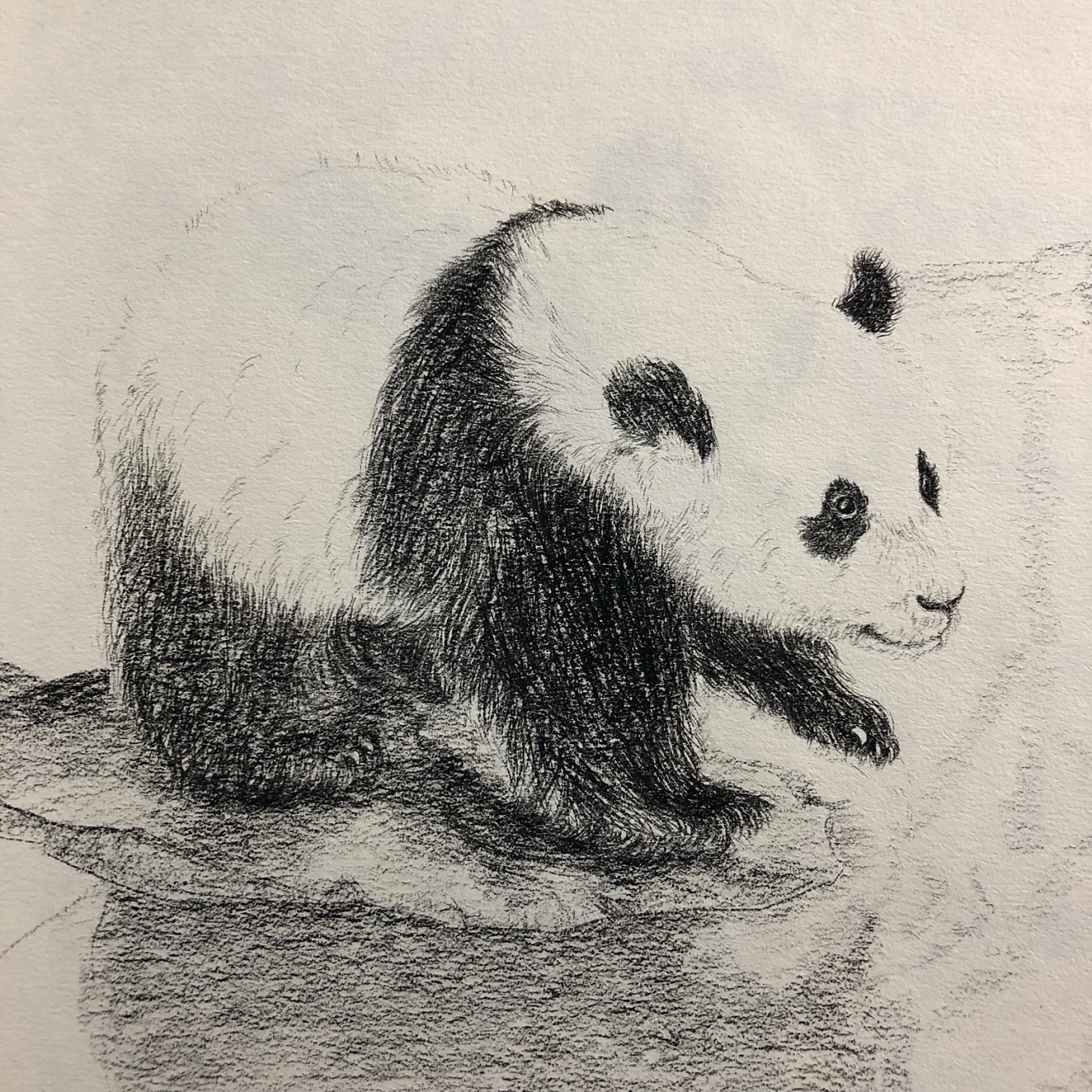熊猫|纯艺术|绘画|实在不妥 - 原创作品 - 站酷 (zcool)