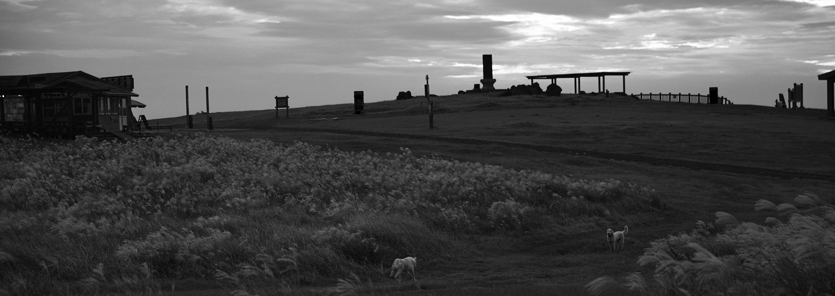 MEHO1215的个人主页（封面预览） - 主页封面设置 - 站酷设计师MEHO1215原创素材 - 站酷ZCOOL