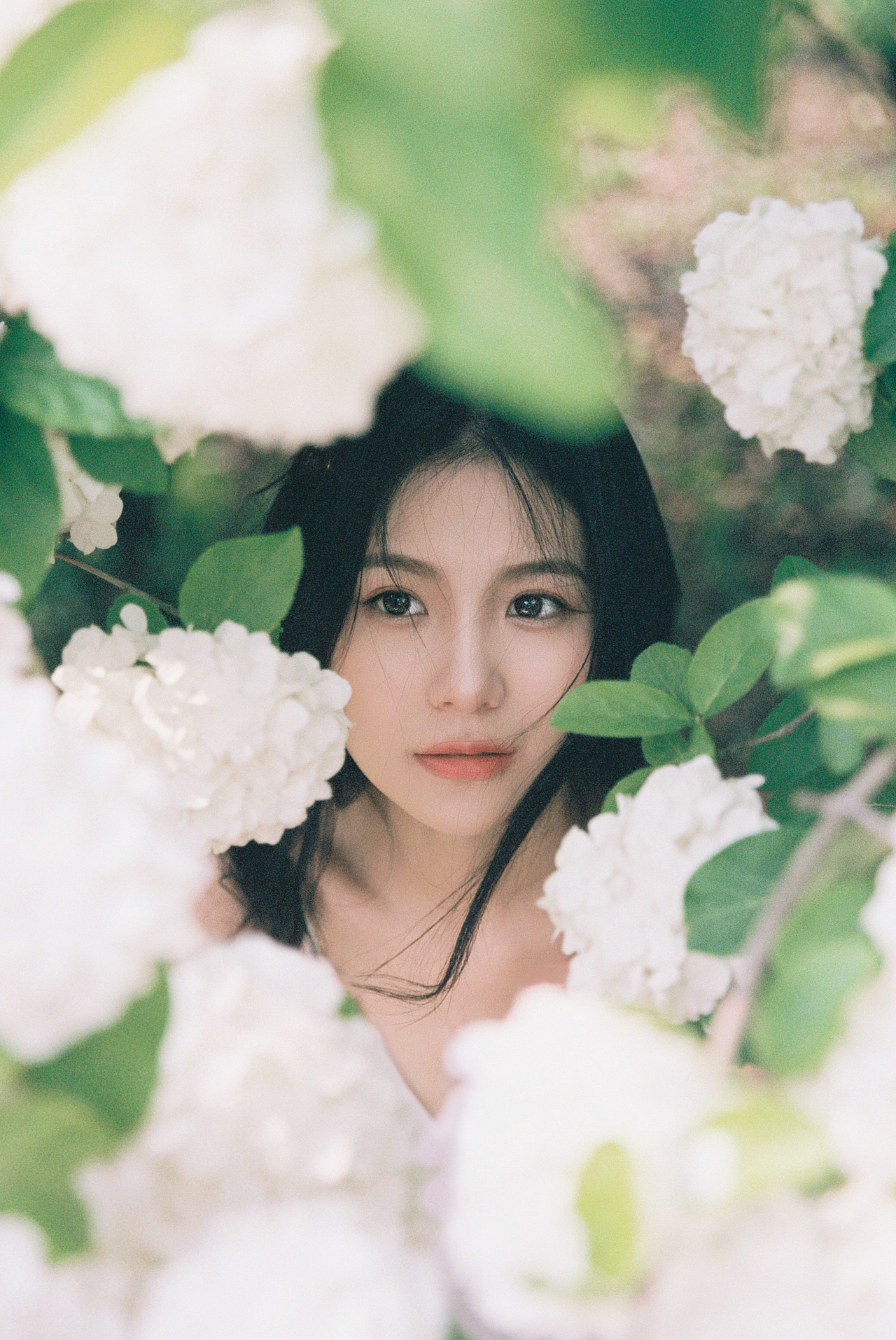 四月的木绣球（图ZMzIxMzc4MjQ0） - 人像摄影 - 站酷设计师北秋白_原创素材 - 站酷ZCOOL