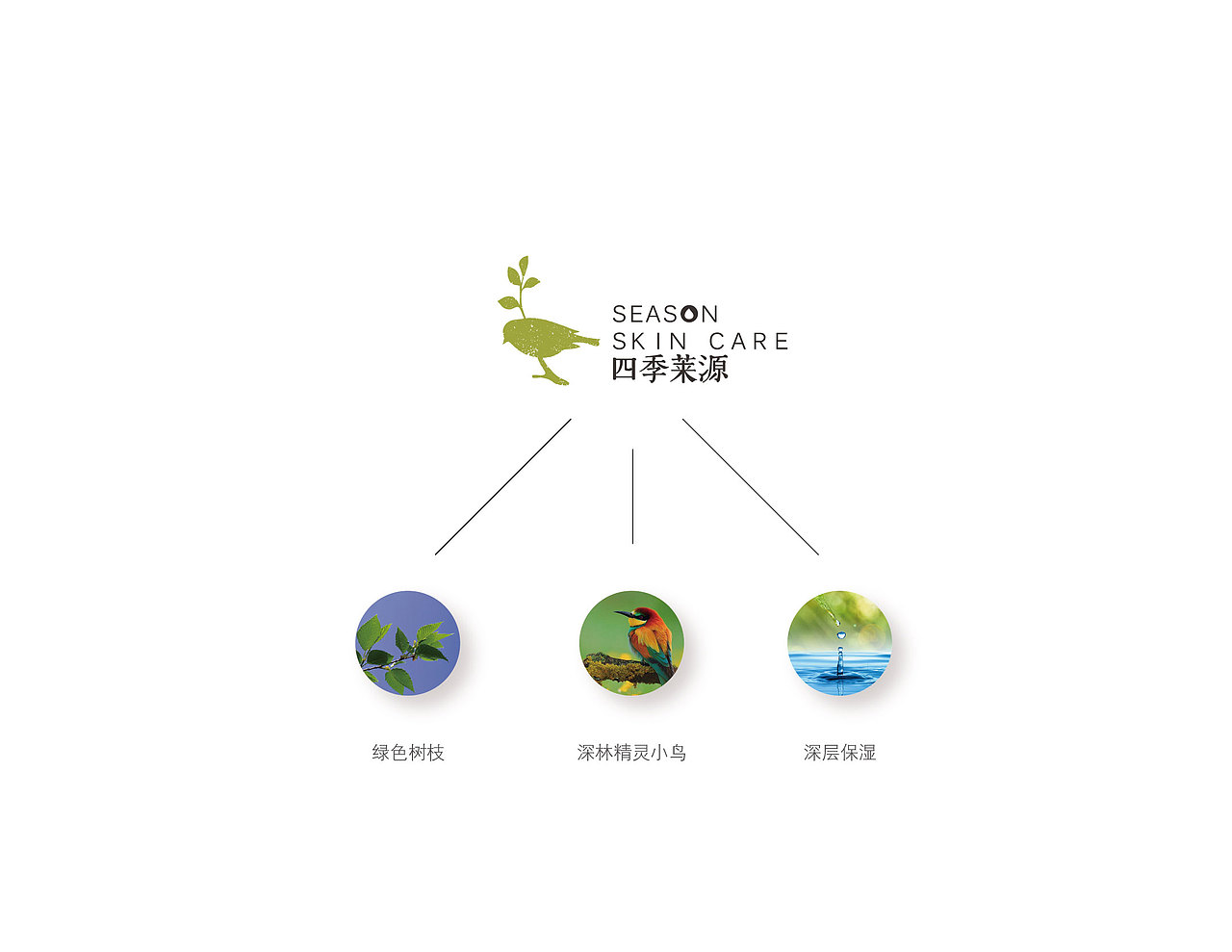 四季莱源（图ZNzEyMTA4Njg=） - 品牌 - 站酷设计师玉茹zi原创素材 - 站酷ZCOOL