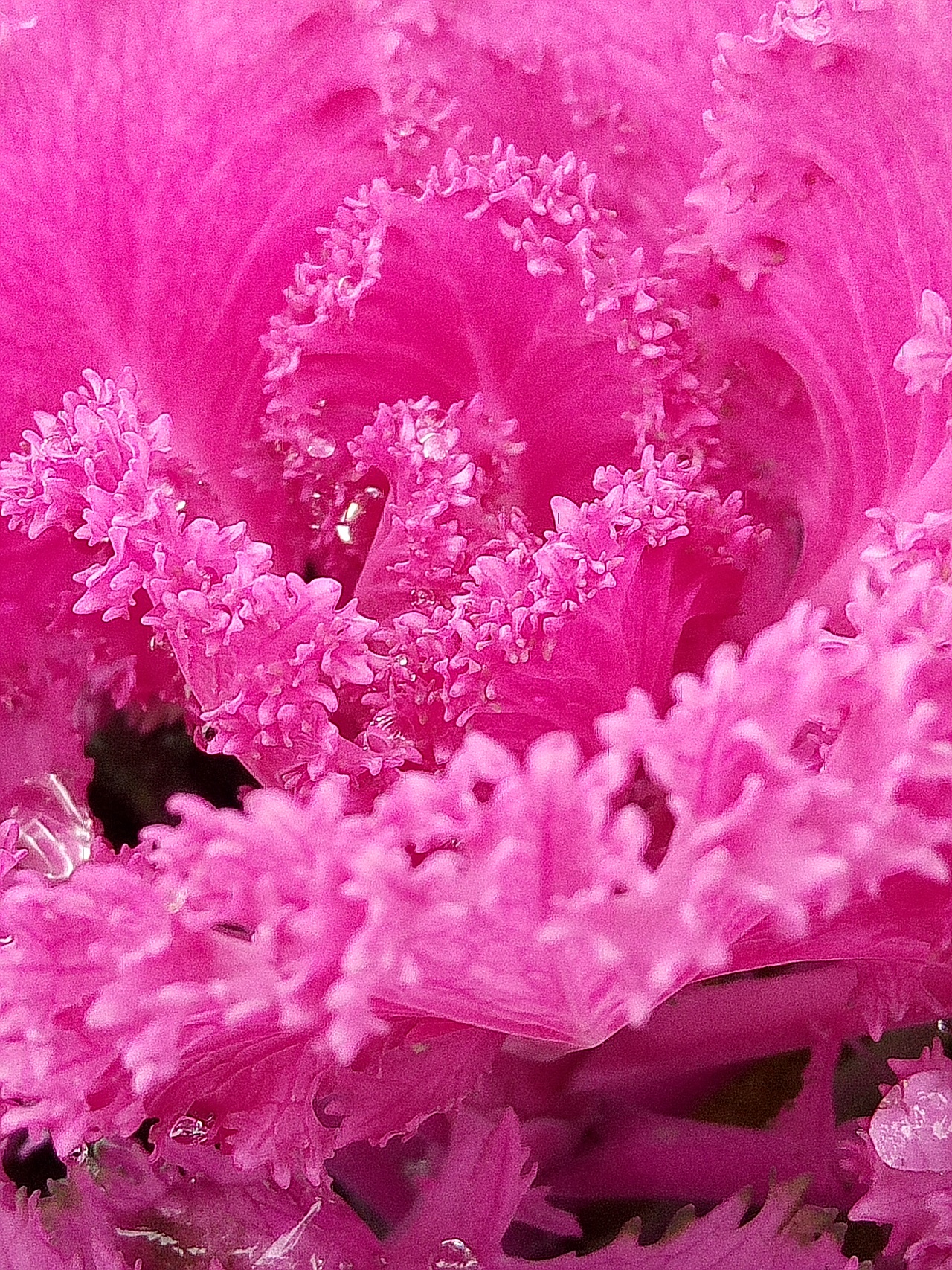 《捕光记贰拾柒》