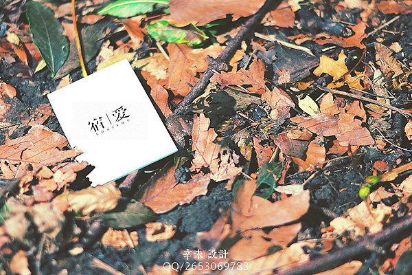 近期字体logo案例（图ZMjcyOTIwMDA=） - 字体/字形 - 站酷设计师辛未设计原创素材 - 站酷ZCOOL