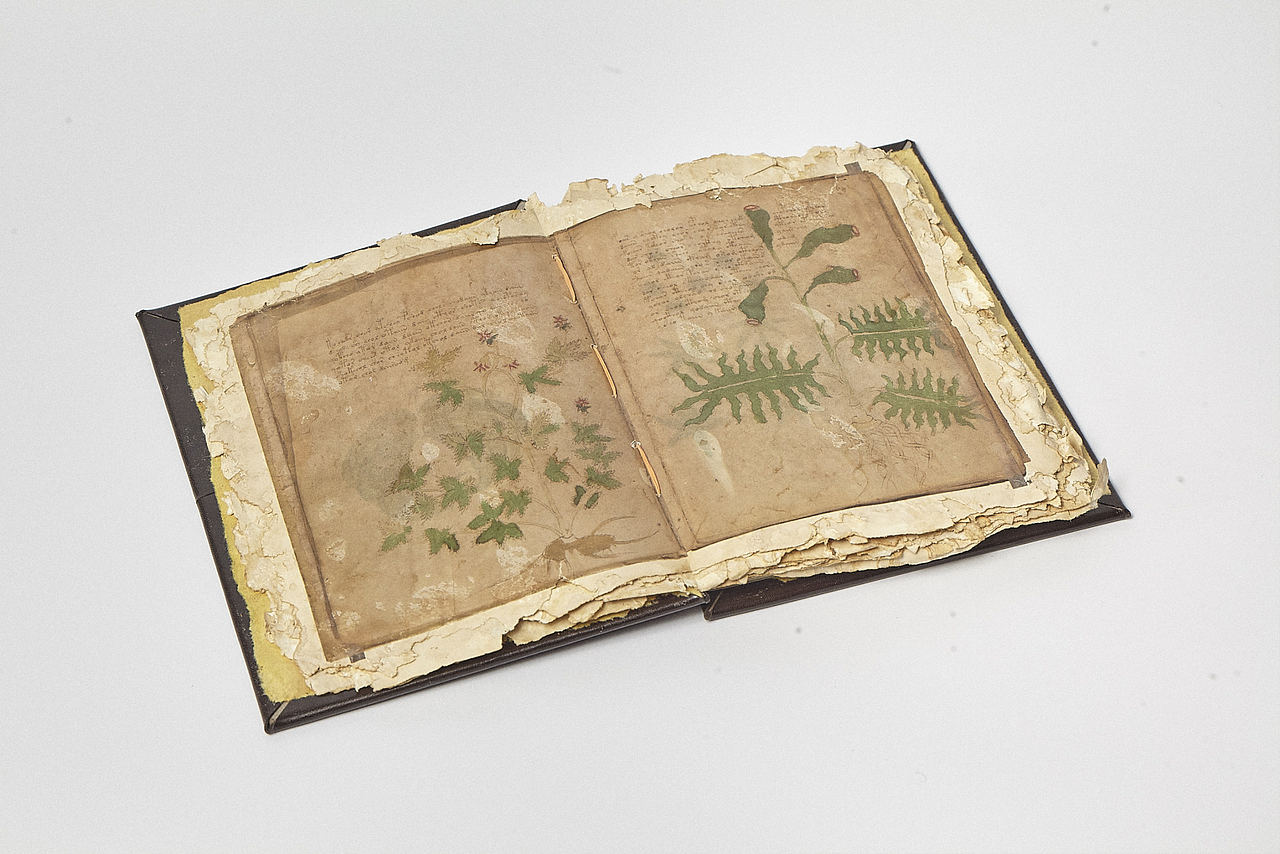 一本神秘的书籍《Voynich manuscript》（伏尼契手稿）（图ZODEwOTI2ODQ=） - 书籍/画册 - 站酷设计师天佑书房原创素材 - 站酷ZCOOL