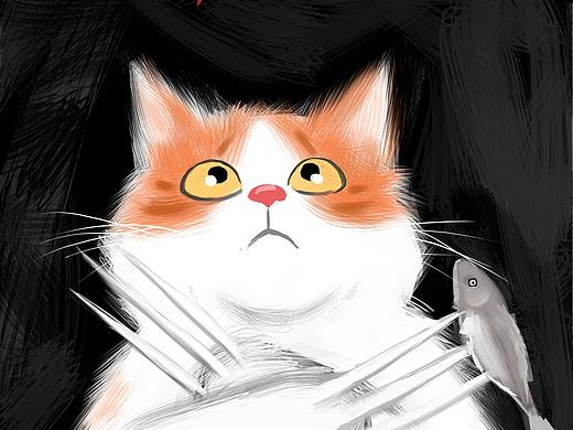 金刚猫