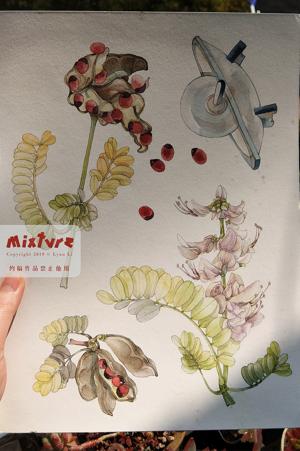剑三药用花草&中药材炮制工具（图ZMTUyMDkxMzky） - 商业插画 - 站酷设计师青霄不予原创素材 - 站酷ZCOOL