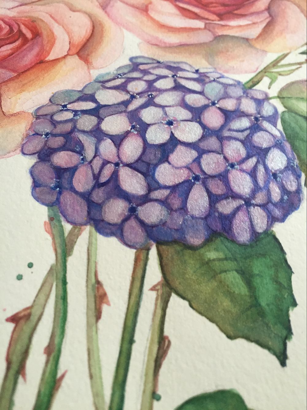 手绘水彩插画集合(2)