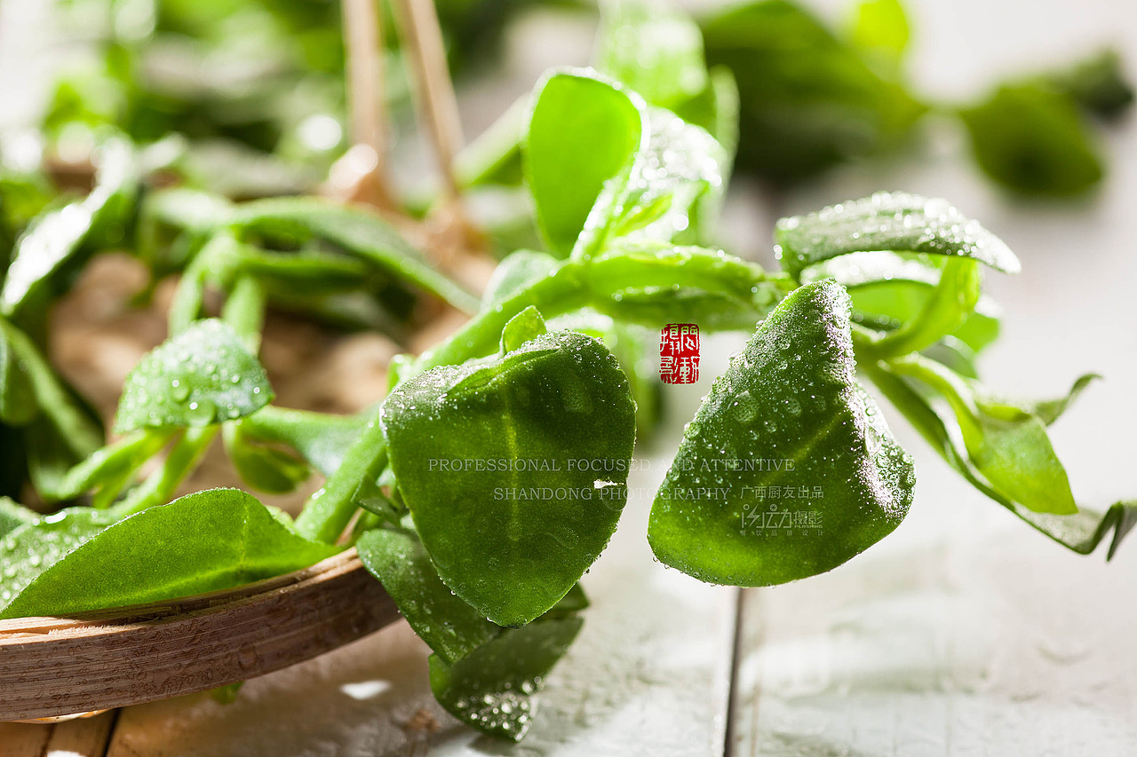 新鲜的新奇特养生食材