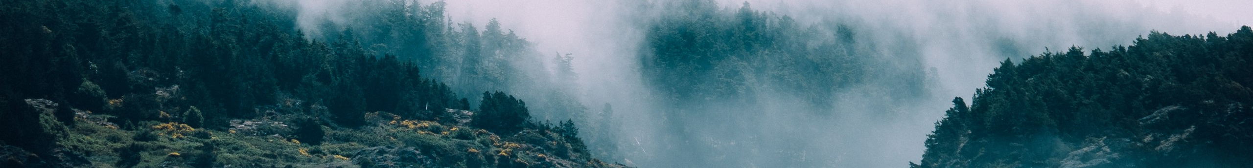 halsted的个人主页（封面预览） - 主页封面设置 - 站酷设计师halsted原创素材 - 站酷ZCOOL