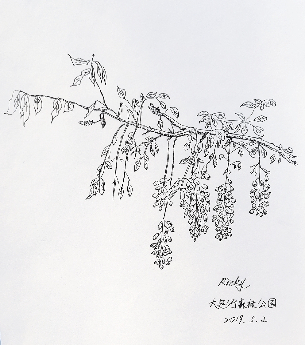 黑色水性笔速写