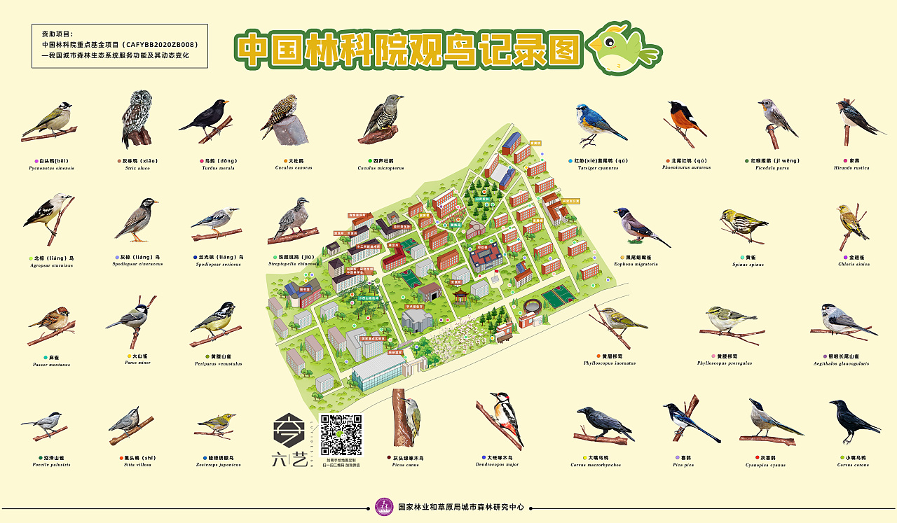 中国林科院春夏秋冬四季鸟类分布导览图集团手绘地图