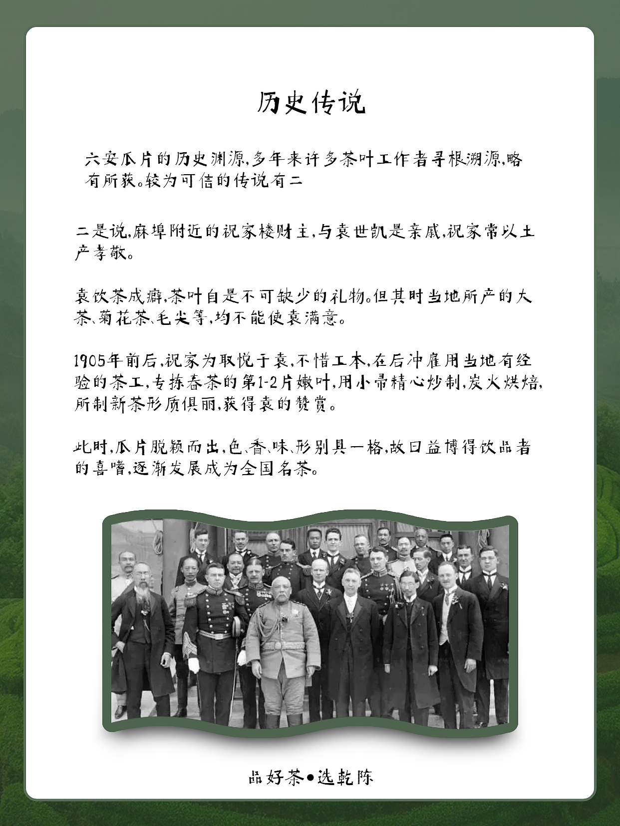 每天了解一款茶|六安瓜片