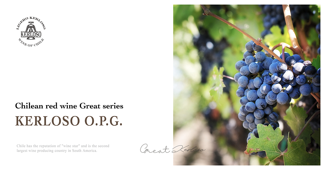 【KERLOSO·GREAT】智利红酒包装