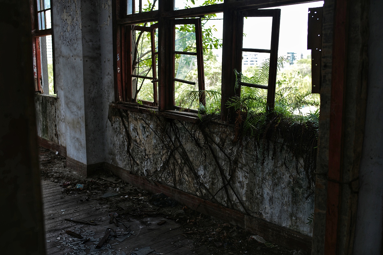 南充花市街104号的那些破窗户.