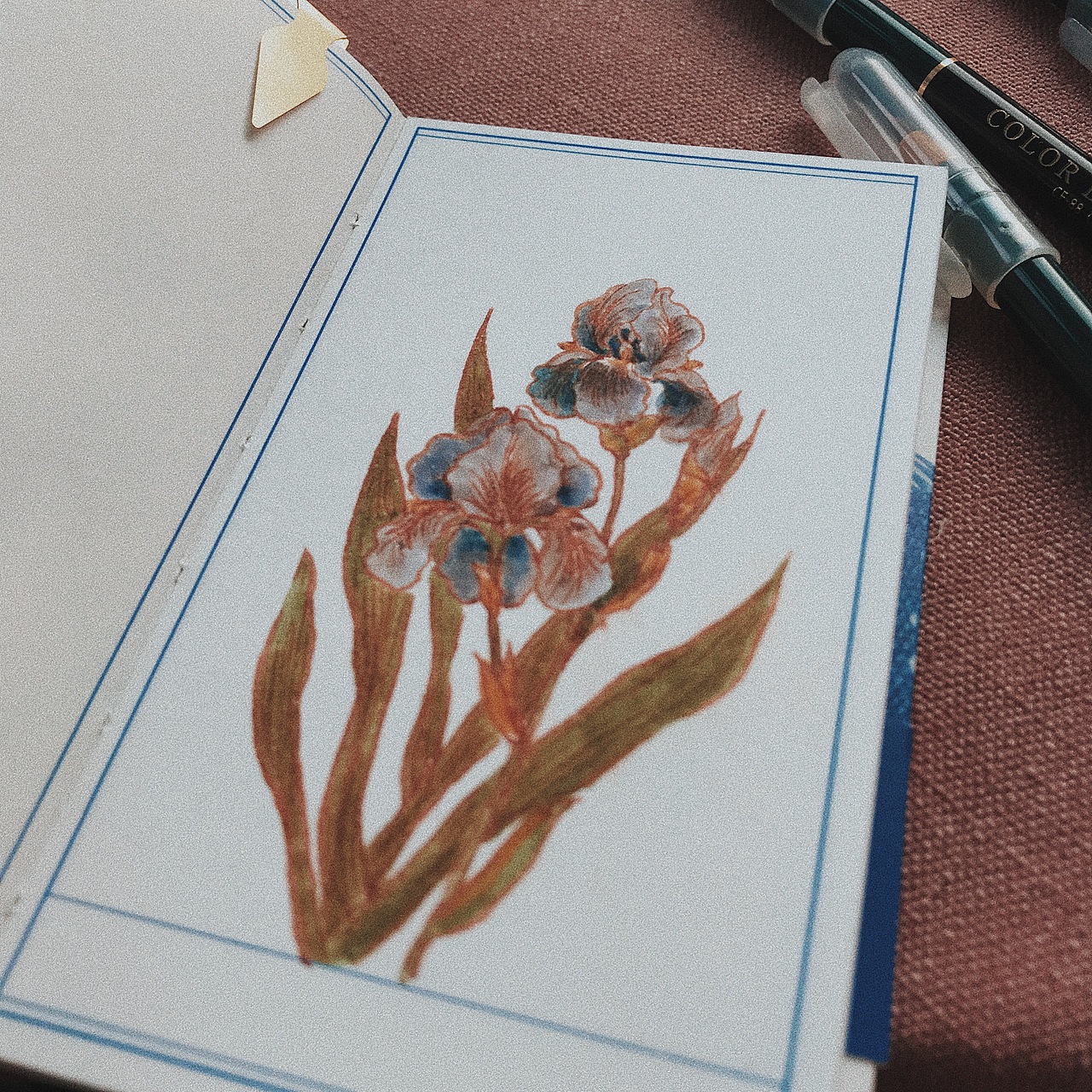 自己的鲜花图鉴（图ZMjAyMDQ4NzMy） - 艺术插画 - 站酷设计师AMENGA原创素材 - 站酷ZCOOL