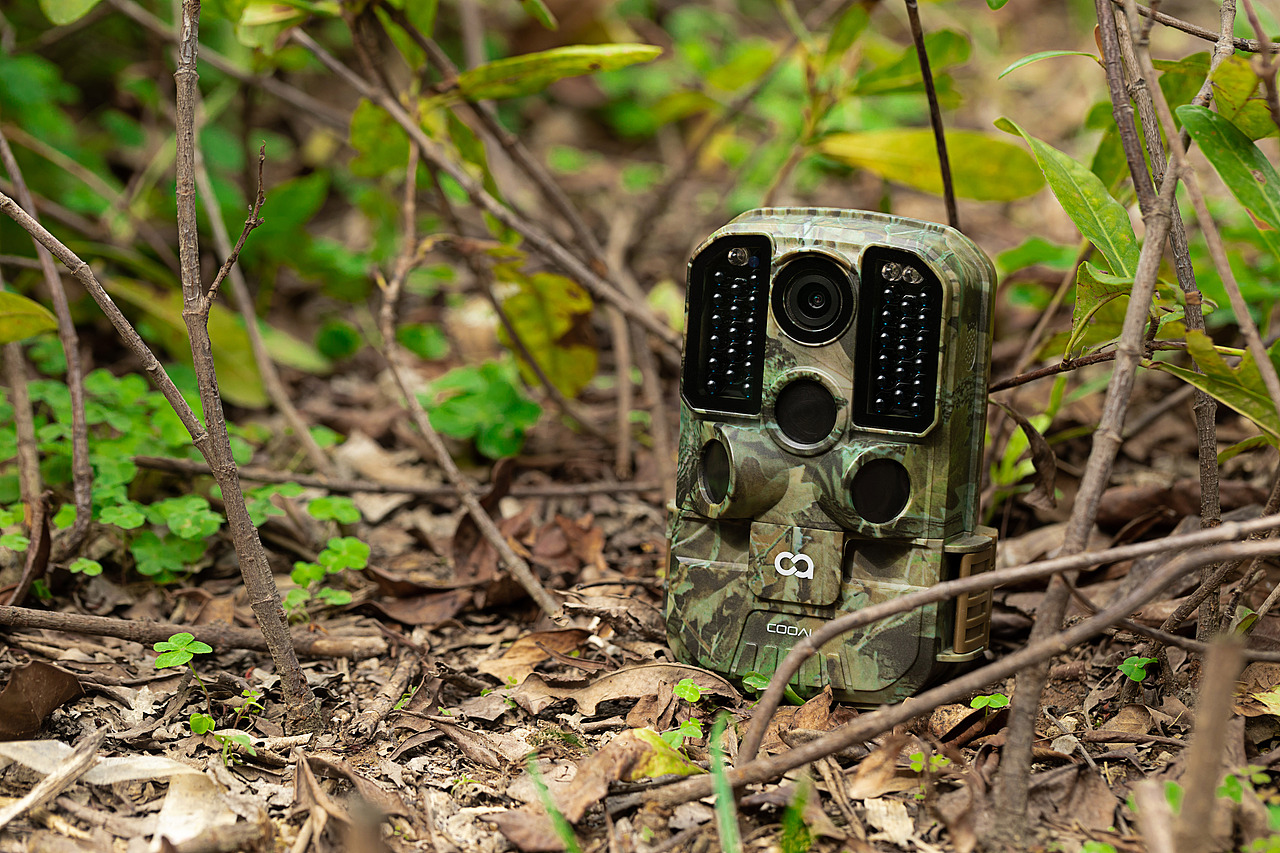 打猎相机