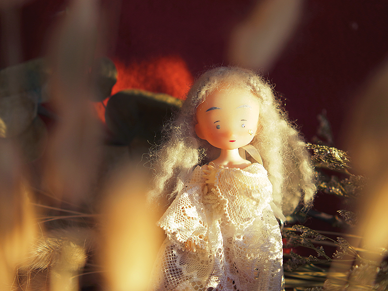 White Star and Black Moon 白星和黑月