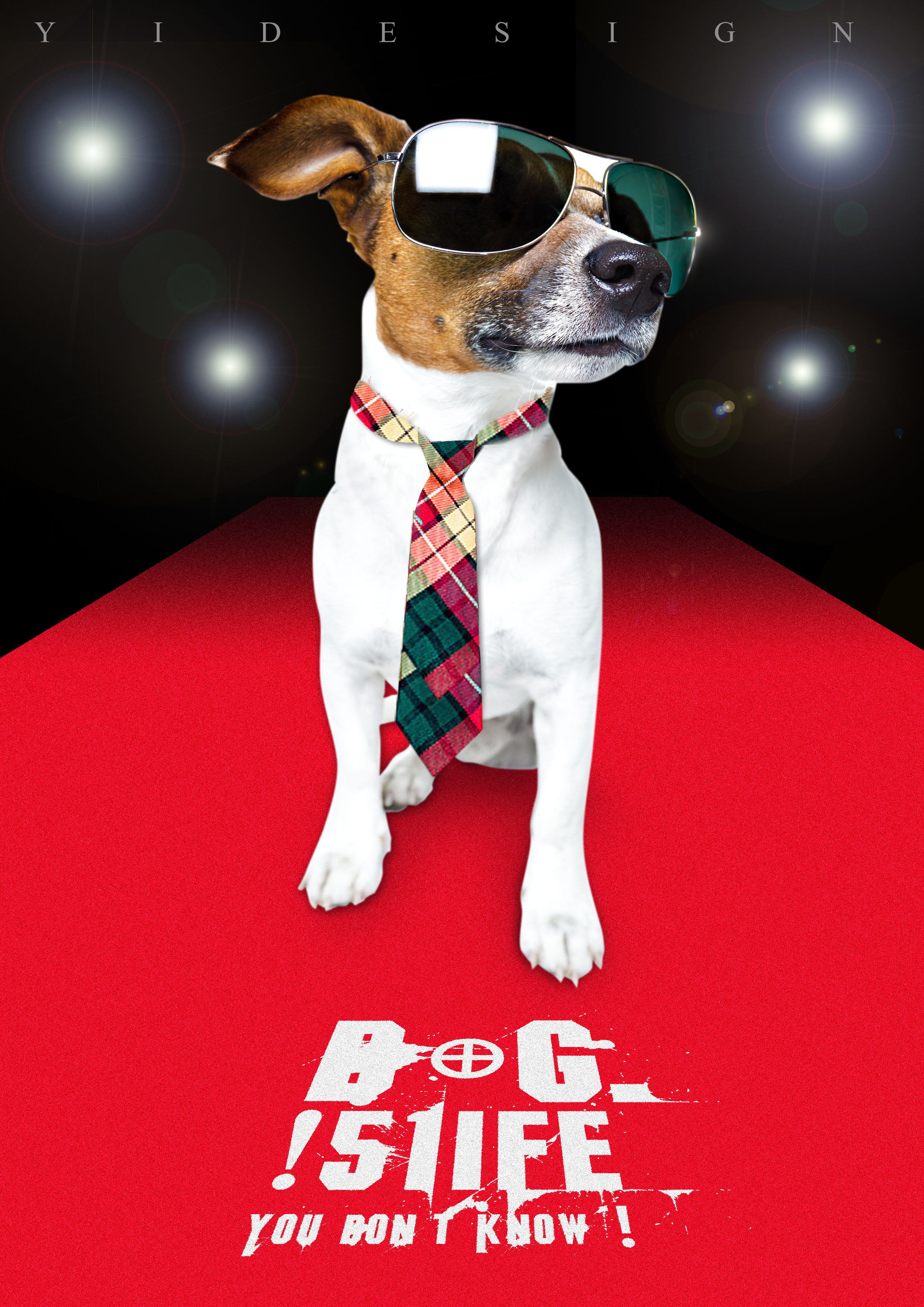 《鸡飞狗跳》《dogs life》|平面|海报|宜品视觉 - 原创作品 - 站酷