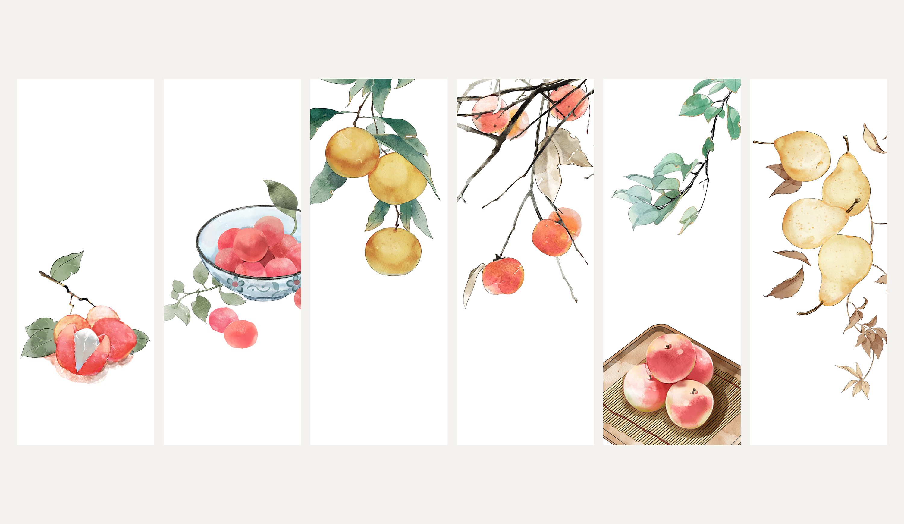 水果合集|插画|商业插画|a飘加把劲 - 原创作品 - 站酷 (zcool)