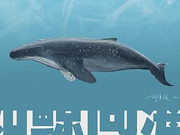 如鲸向海
