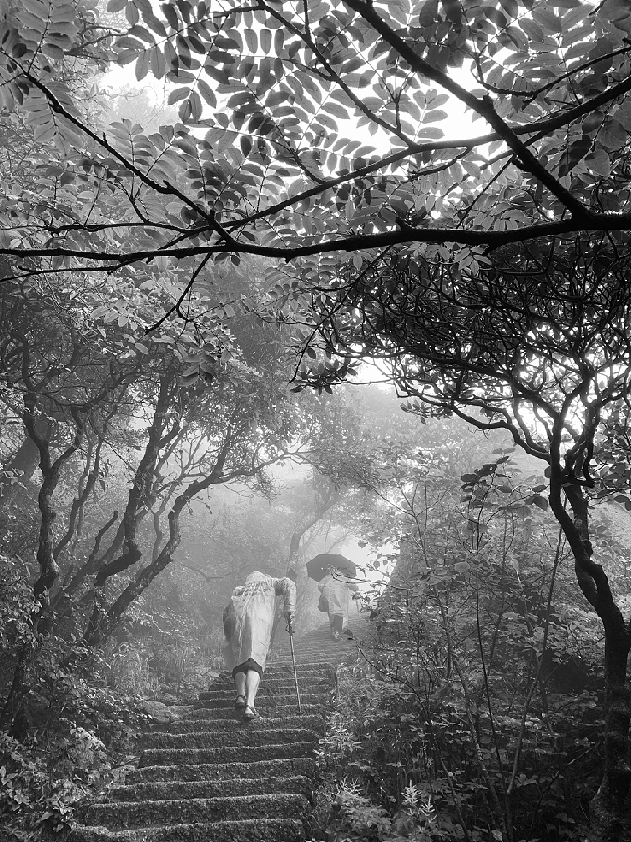 梦境迷雾，雨中石山与遗失的手机