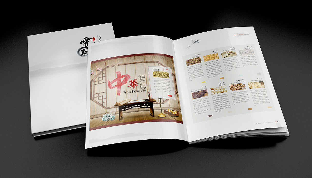 中国风画册（图ZNDc4MDI2MzI=） - 书籍/画册 - 站酷设计师白露的白原创素材 - 站酷ZCOOL