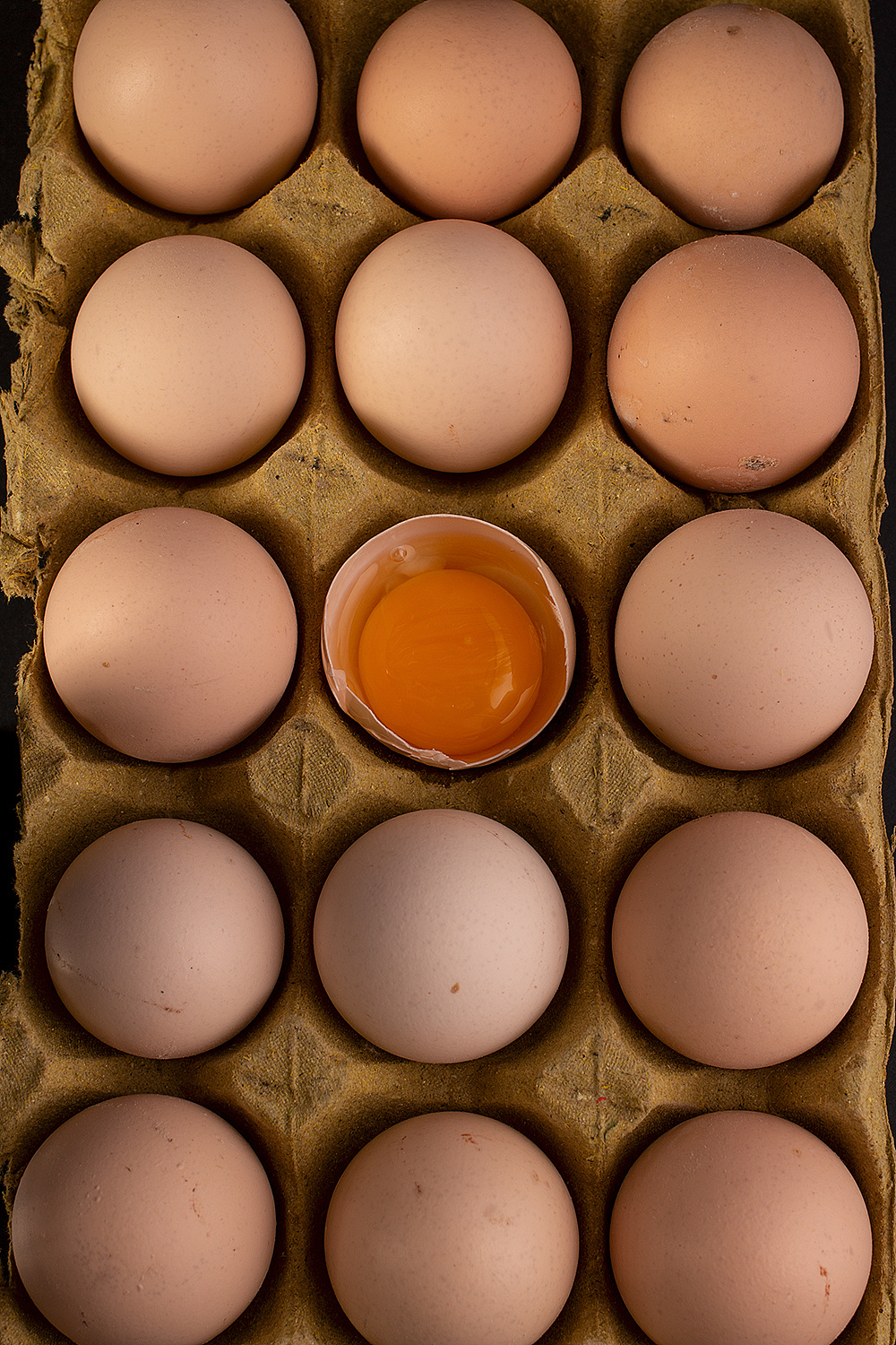 静物鸡蛋
