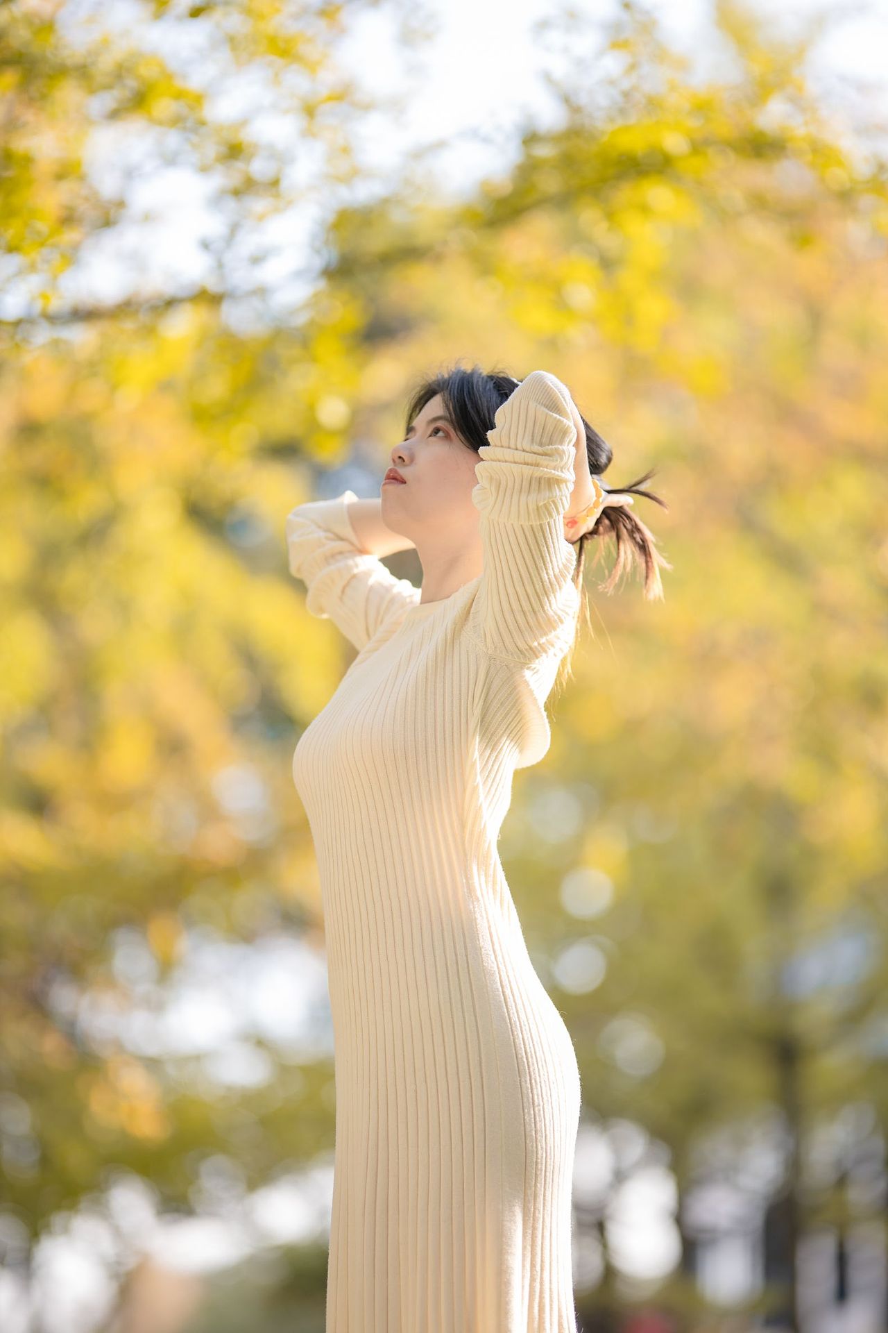 银杏 就这。。。