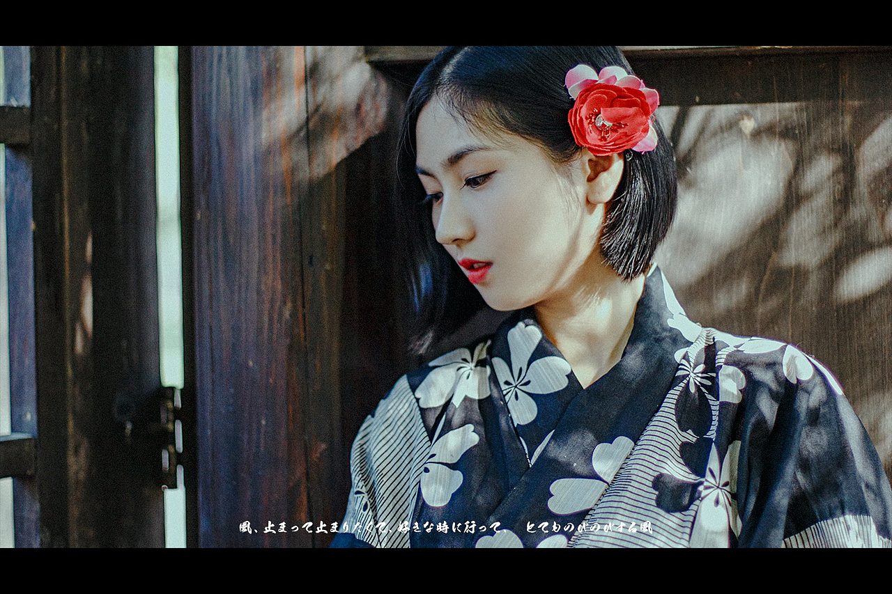 【 秋之白华 】