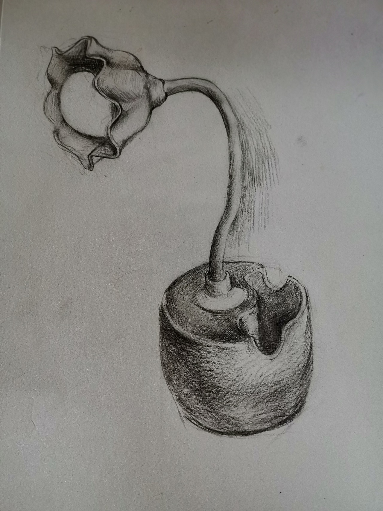 素描台灯,可以看出设计元素