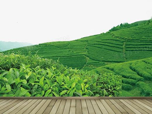 茶道（个人主页-ZMzU0OTIzNDA=） - 短片 - 站酷设计师不一样皮皮瞎原创素材 - 站酷ZCOOL