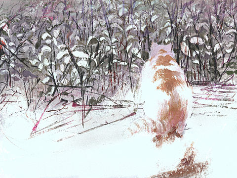 拍下的与画出来的