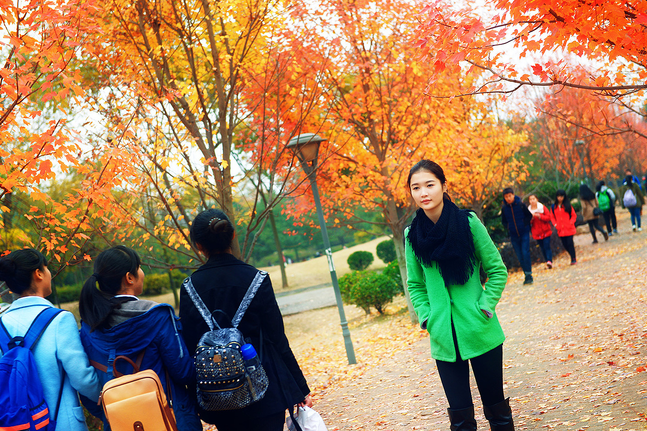 幺四的最后一片枫叶