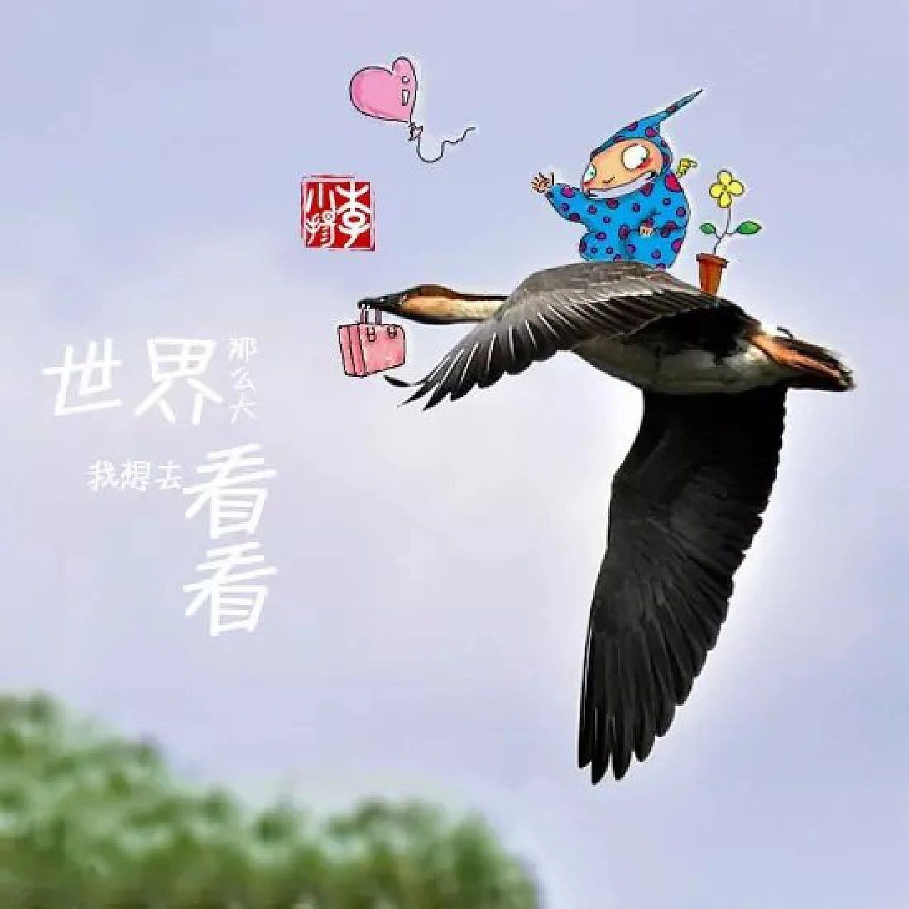 和一碰花的恋爱