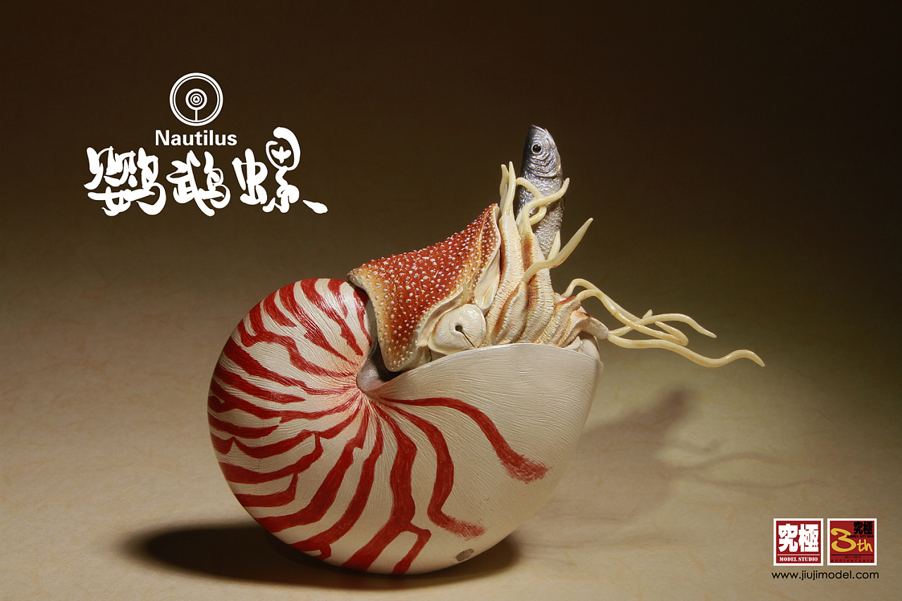 究极工作室三周年纪念限定款no.1【鹦鹉螺】完成品