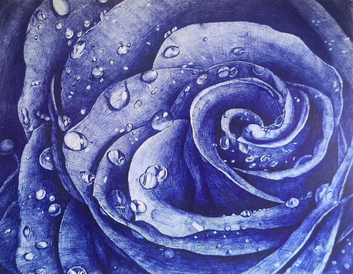 圆珠笔蓝色妖姬|纯艺术|绘画|可小萌kiko_原创作品-站酷zcool